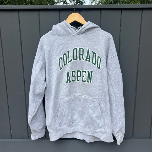 Brandy Melville Gray Colorado Aspen Hoodie - Picture 1 of 3